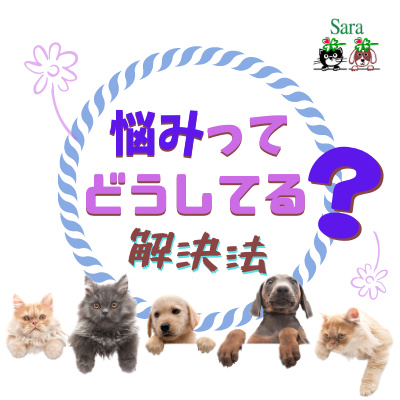 #244. いろいろ悩みのある方へ：わたしのお悩み解決法 episode artwork