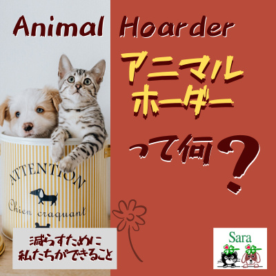 #248. 人のココロの病：Animal hoarder：減らすためにできることは？ episode artwork