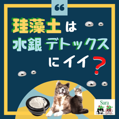 380 毛髪ミネラル検査で水銀が高い 珪藻土でデトックスできる 質問に回答 By Sara先生のペットの暮らしと健康 No 2 Podcast With Holistic Vet Sara A Podcast On Anchor
