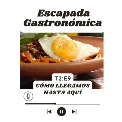 Cómo llegamos hasta aquí