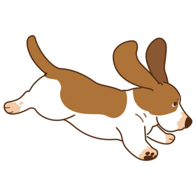 Relax My Dog