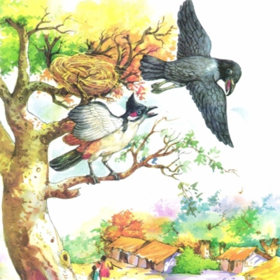 (E)Crow and his habits