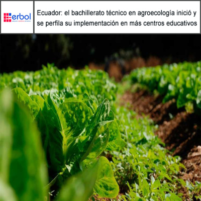 Ecuador: el bachillerato técnico en agroecología inició y se perfila su implementación en más centros educativos episode artwork