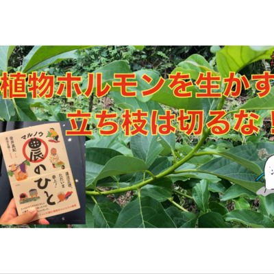 48 徒長枝は切らない 植物ホルモンを最大限に生かす方法 By 農の共有