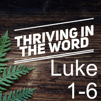 Pulling an All-nighter - Luke 1-6, week 9