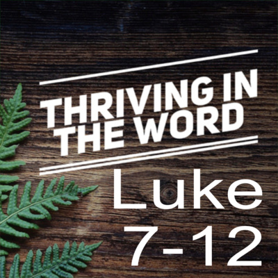 Far More Important - Luke 7-12, week 2