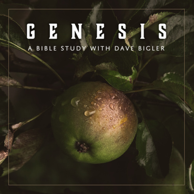 Genesis 27 Bible Study - A Dysfunctional Family and the Blessings of God vs Man. episode artwork