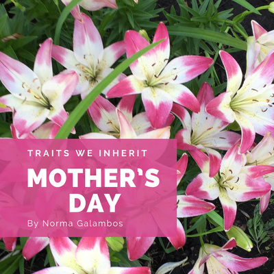 Mother’s Day | Traits We Inherit