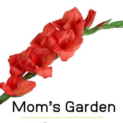 Mom’s Garden | The Way He Looked at Her