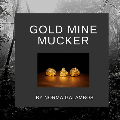 Gold Mine Mucker