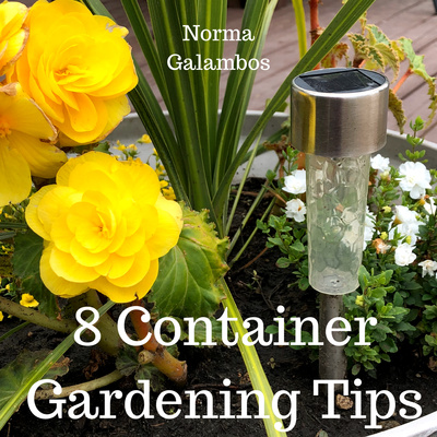 8 Container Gardening Tips
