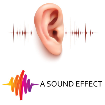 Save your ears! How to protect your hearing as an audio pro, with Doctor of Audiology / Audio Engineer Steven Taddei - ASFX Podcast Ep 16