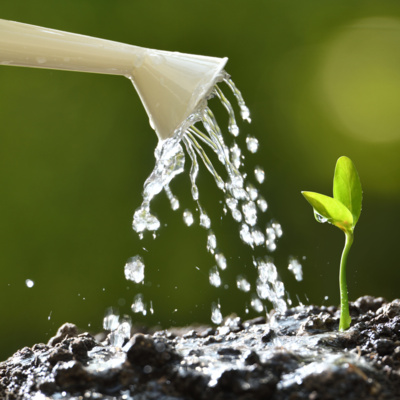 Plant a tree, take this approach for Agucation/AgMarketing