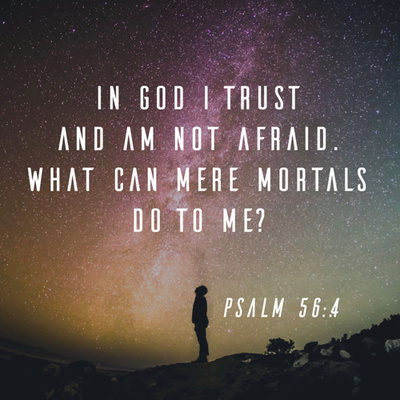 Psalms 56, 120, 140-142 Day 106 Reading through the Bible chronologically