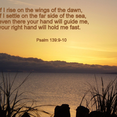 Psalms 131, 138-139, 143-145 Day 146 Reading through the Bible chronologically