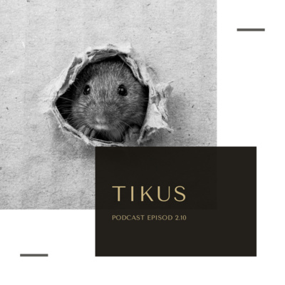 2.10: TIKUS