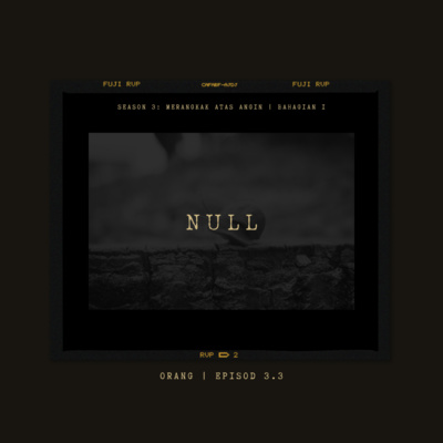 3.3: NULL