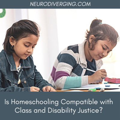 Does Homeschooling Perpetuate Classism and Ableism in the School System?