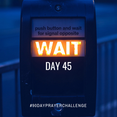 DAY 45 90 DAY PRAYER CHALLENGE: WAIT