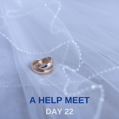DAY 22 90 DAY PRAYER CHALLENGE: A Help Meet
