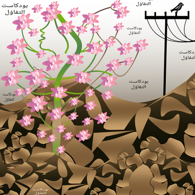 أشياء مهمة لكي يا حواء ♥️♥️