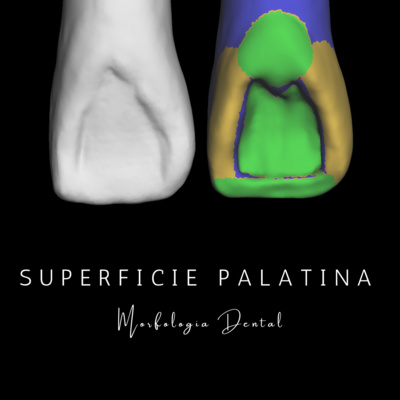 Odontología Digital con MAU