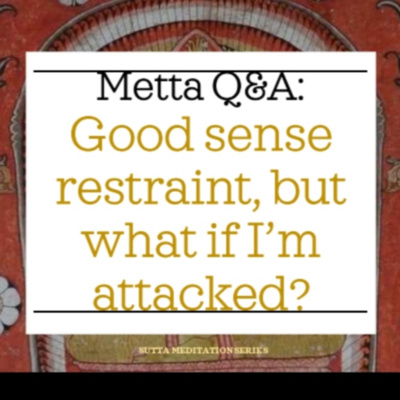 GOOD SENSE RESTRAINT, BUT WHAT IF I'M ATTACKED? - Metta Q&A episode artwork