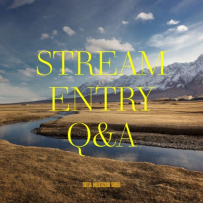 WHAT ARE THE DIFFERENT TYPES OF STREAM-ENTERERS? - Stream Entry Q&A episode artwork