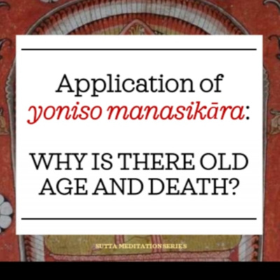 Vesak Poya - APPLICATION OF YONISO MANASIKĀRA: WHY IS THERE OLD AGE AND DEATH? episode artwork