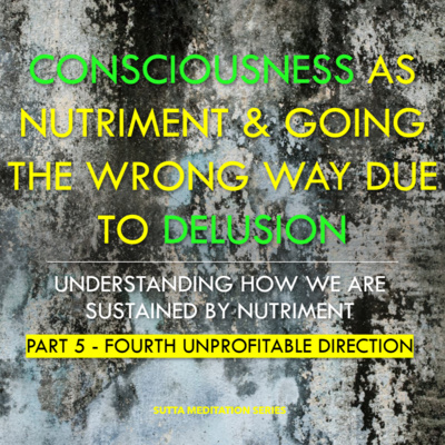 Sutta Meditation Series