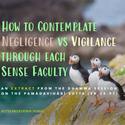 HOW TO CONTEMPLATE NEGLIGENCE VS VIGILANCE THROUGH EACH SENSE FACULTY (Extract from Full Dhamma Session) episode artwork