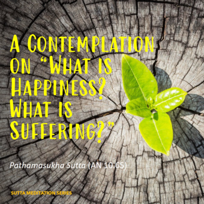 A CONTEMPLATION ON "WHAT IS HAPPINESS? WHAT IS SUFFERING?" episode artwork