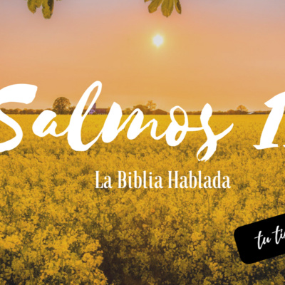 Bienvenidos!!