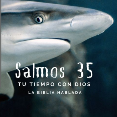 Bienvenidos!!