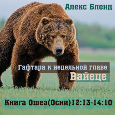 Книга Ошеа (Осии) 12:13 - 14:10 Гафтара к недельной главе Вайеце  episode artwork