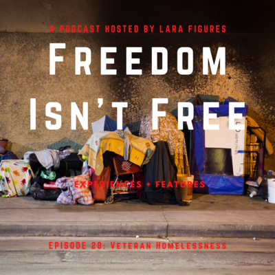 Episode 28 - Veteran Homelessness