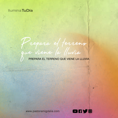 Ilumina Tu Día
