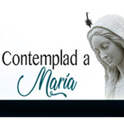 Hilado amor María Antonieta Hilo En Color Fling