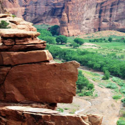 My Mountain Lion Experience in Canyon de Chelly: Nightmare or Spirit Guide? episode artwork