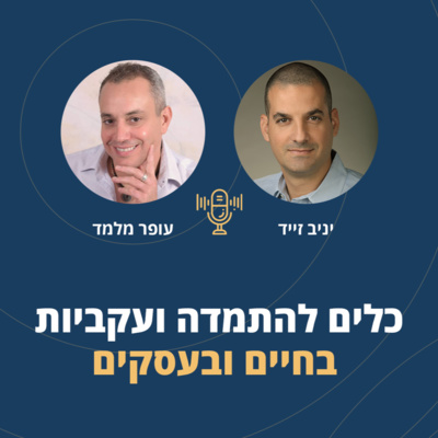 פרק 17: כלים להתמדה ועקביות בחיים ובעסקים episode artwork
