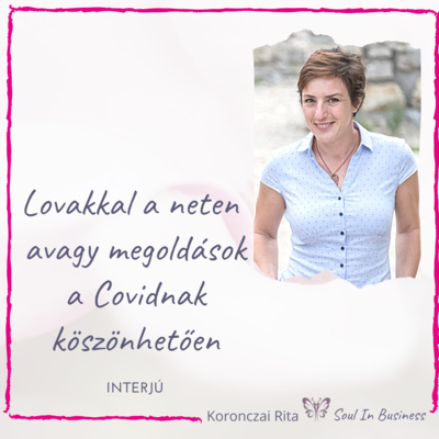 Csütörtöki interjúk - Lovakkal a neten .... avagy megoldások a Covidnak köszönhetően