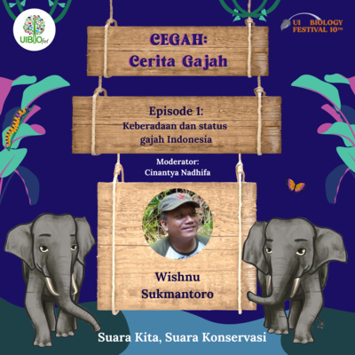 Cerita Gajah (CEGAH) UI BIOFEST 10th Ep. 1 - Keberadaan dan Status Gajah Indonesia