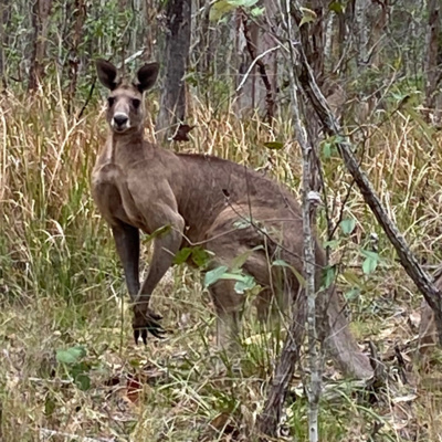 Have to Look That Up