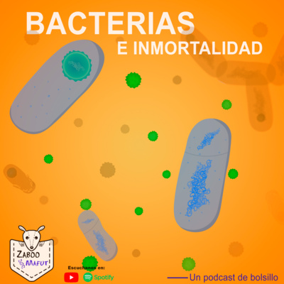Bacterias e inmortalidad episode artwork