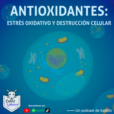 Antioxidantes. Estrés oxidativo y destrucción celular. episode artwork
