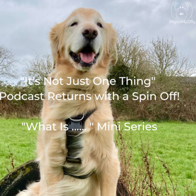 Series 3 - Ep 2 - "What Is .... " Mini Series Introduction