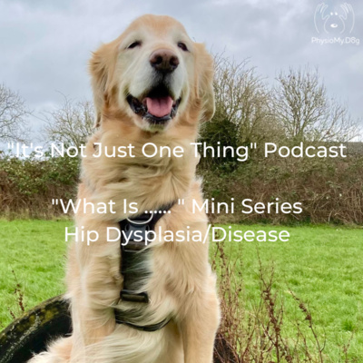 Series 3 - Ep 4 - "What Is ..... Hip Dysplasia/Disease"