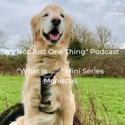 Series 3 - Ep 7 - "What Is .... Meniscus Injury "