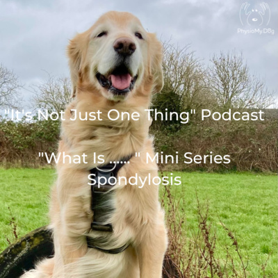 Series 3 - Ep 8 - "What Is .... Spondylosis"