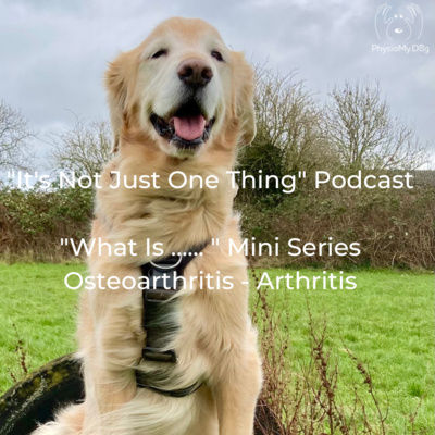 Series 3 - Ep 9 - "What Is .... Osteoarthritis"
